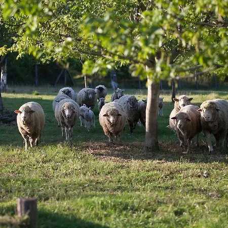 بيت ضيافة Dioliget - Zoeld Dio Haziko 3*